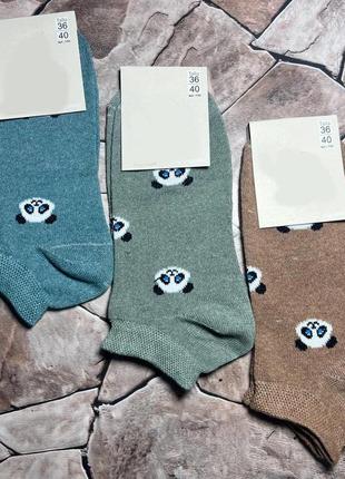 Носки женские набор панда1 фото