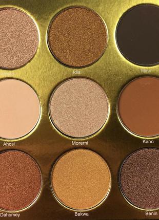 The warrior by juvia's eyeshadow palette 9 colors