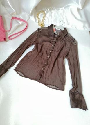 Сорочка блуза з органзи жниварка з люрексом