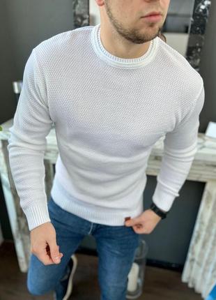 Кофта мужская теплая демисезонная elips белая | свитер мужской весенний осенний пуловер шерсть1 фото
