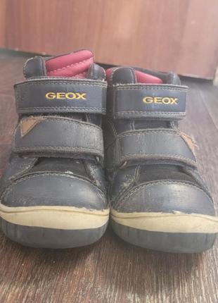 Ботинки geox2 фото