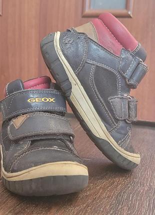 Ботинки geox