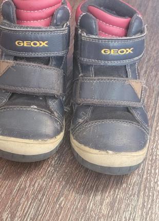 Ботинки geox5 фото