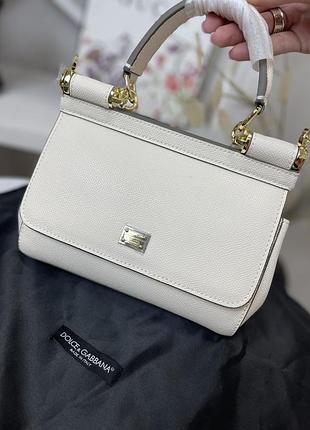 Сумка айворі в стилі dolce & gabbana міні шкіра 20/15
