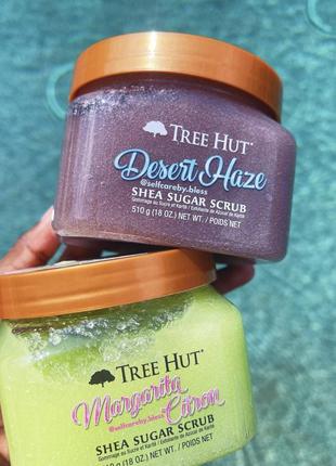 Скраб для тела tree hut desert haze sugar scrub 510g1 фото