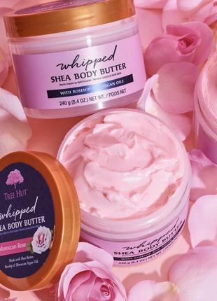 Tree hut moroccan rose whipped body butter роскошный баттер для тела с ароматом марокканской розы, 240г