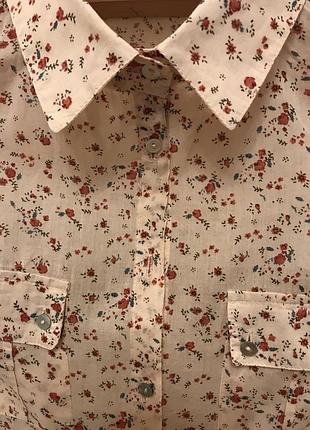 Величезний вибір красивих блуз і сорочок.