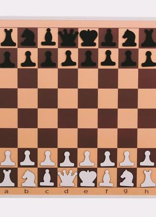 Демонстрационная шахматная доска, 60см x 60см