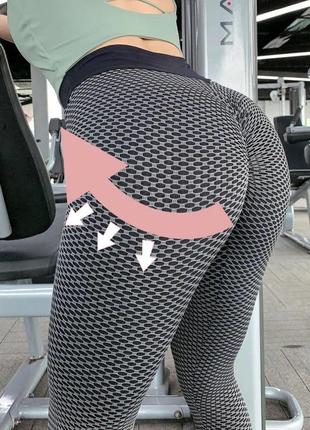 Лосіни пушап 2