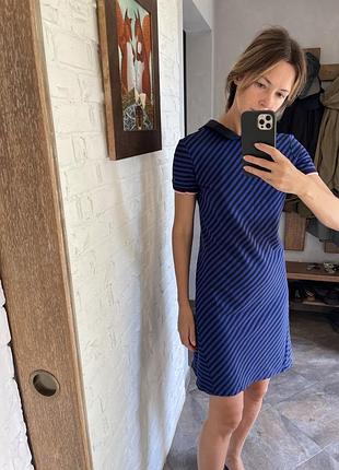Бавовняна сукня tommy hilfiger, стан нової