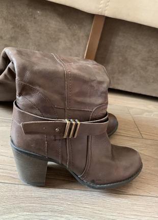 Женские осенние сапоги