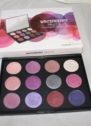 Палитра теней coastal scents winterberry palette