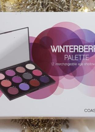 Палитра теней coastal scents winterberry palette5 фото