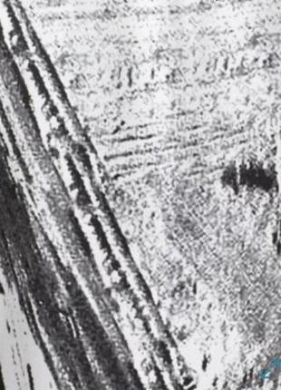 Шовкові штани helmut lang 2