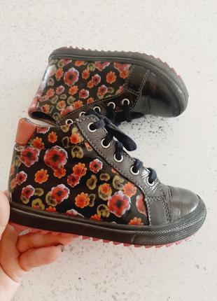 Демісезонні черевики хайтопи