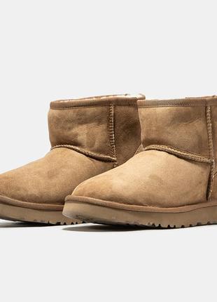 Мужские угги ugg classic mini