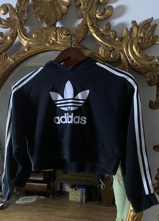 Топ худи adidas