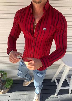 Мужская рубашка мужская красная рубашка в полоску lacoste1 фото