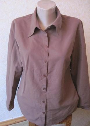Блуза, сорочка kennys