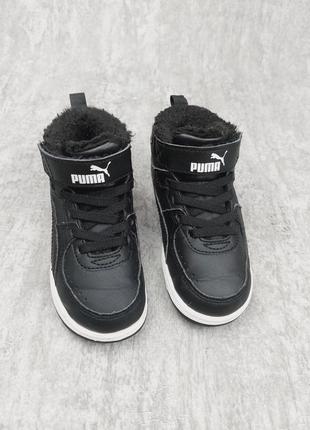 Серевики puma3 фото