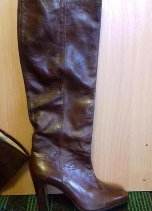 Сапоги кожа,деми