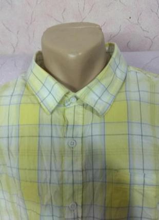 Рубашка мужская летняя с коротким рукавом большого размера хлопок george4 фото