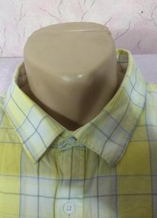 Рубашка мужская летняя с коротким рукавом большого размера хлопок george5 фото