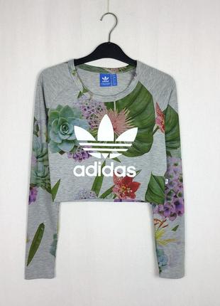 Жіночий реглан adidas