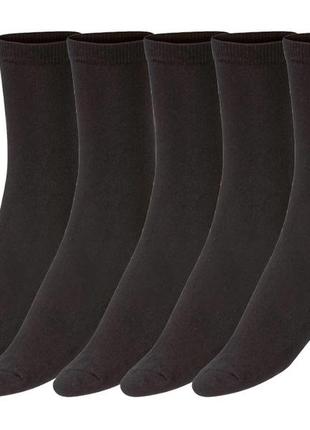 Комплект женских носков из 5 пар, размер 35-38, цвет: черный