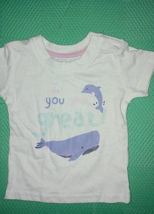 62 sm primark 60 грн