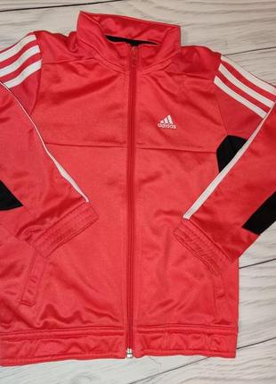 Спортивна кофта, adidas, весна,на хлопчика,5-6 років ,110-116