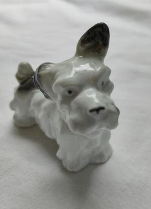 Собака статуетка фарфор2 фото