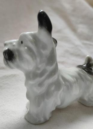 Собака статуетка фарфор6 фото