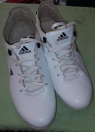 Кросівки аdidas