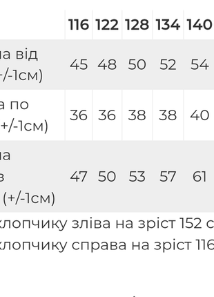 Худі підліткове утеплене, толстовка підліткова з начосом, спортивна кофта з капюшоном, стильний світшот2 фото