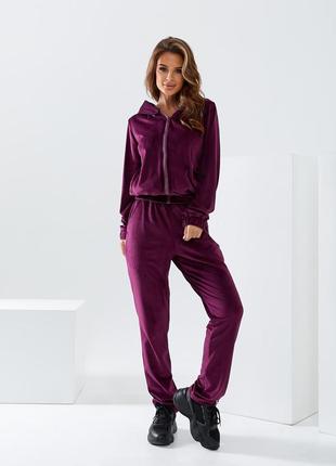 Велюровий жіночий спортивний костюм s, m, l, xl3 фото