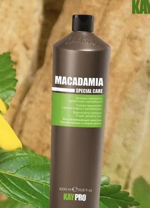 Kaypro macadamia specialcare шампунь з маслом макадамії 1000 ml3 фото