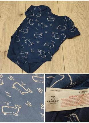 Боди короткий рукав кит рыбки whale