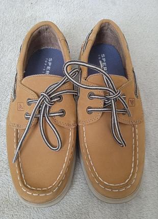 Мокасины, туфли sperry р 336 фото