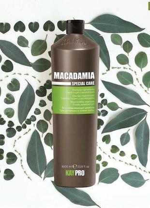 Kaypro macadamia specialcare шампунь з маслом макадамії 1000 ml