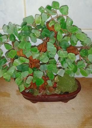 Грошове дерево щастя з нефриту. 18 см. пишне з грошовою жабою.