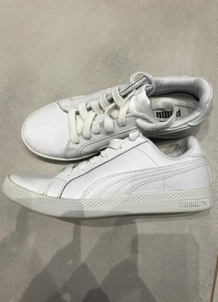 Кеди puma1 фото