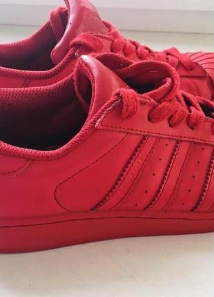 Adidas supercolor superstar pharrell williams  оригинал