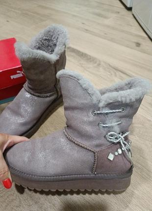 Сапоги на овчине ugg2 фото