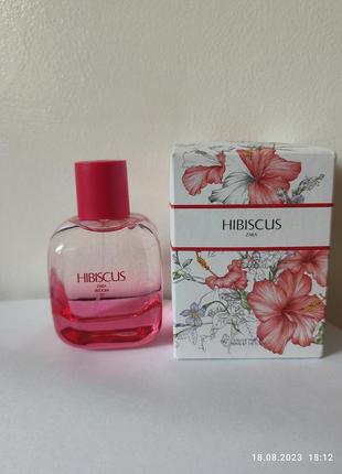 Hibiscus