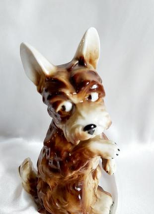 Статуэтка гдр винтажная фарфоровая собака номерная