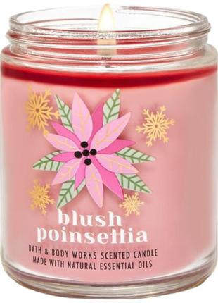 Свічка bath & body works blush poinsettia scented candle