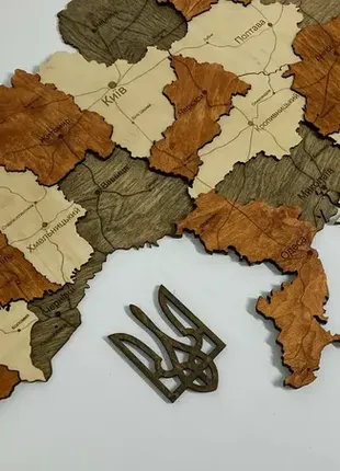 Деревянная карта украины многослойная 3d simpl - тик и палисандр5 фото