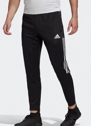 Спортивні штани adidas