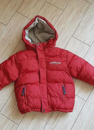 Куртка toddlers